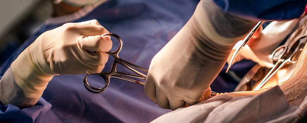 C-Section Procedure: What Happens During a Cesarean Delivery?